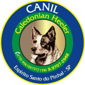 Canil Caledonian Heeler